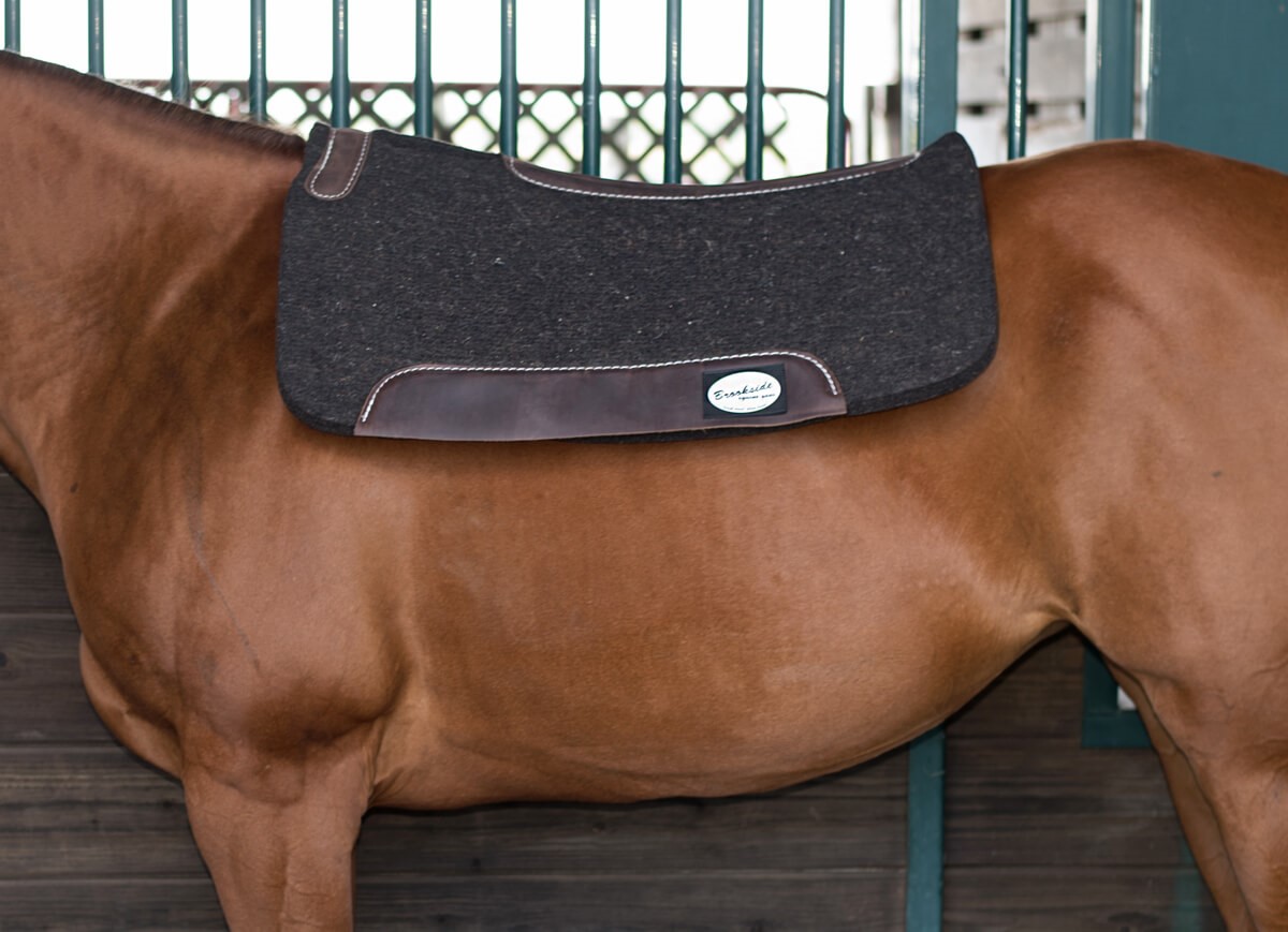 Anky Saddle Pads: The Best Pad for Your Horse