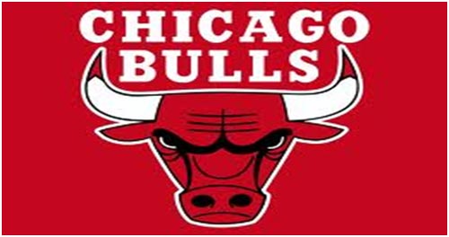 2005 chicago bulls roster