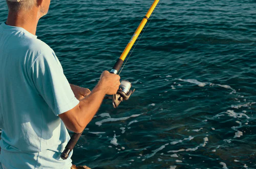 Fishing Reels - Their Functionality and Qualities